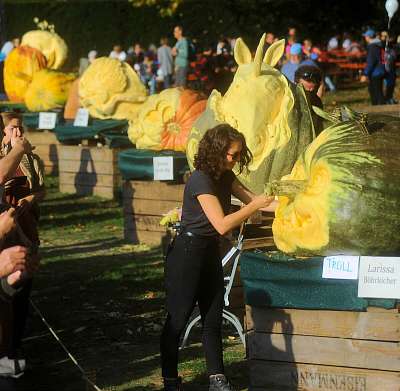 Giant Pumpkin Carving Festival
