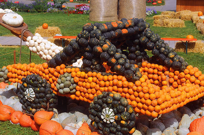 Pumpkimania - Pompoenfestival | Kasteel van Groot-Bijgaarden | 19 sept tot 2 nov 2025