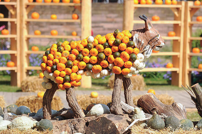Pumpkimania - Pumpkin Festival | Castle Grand-Bigard | 25 Sept till 1 Nov 2026