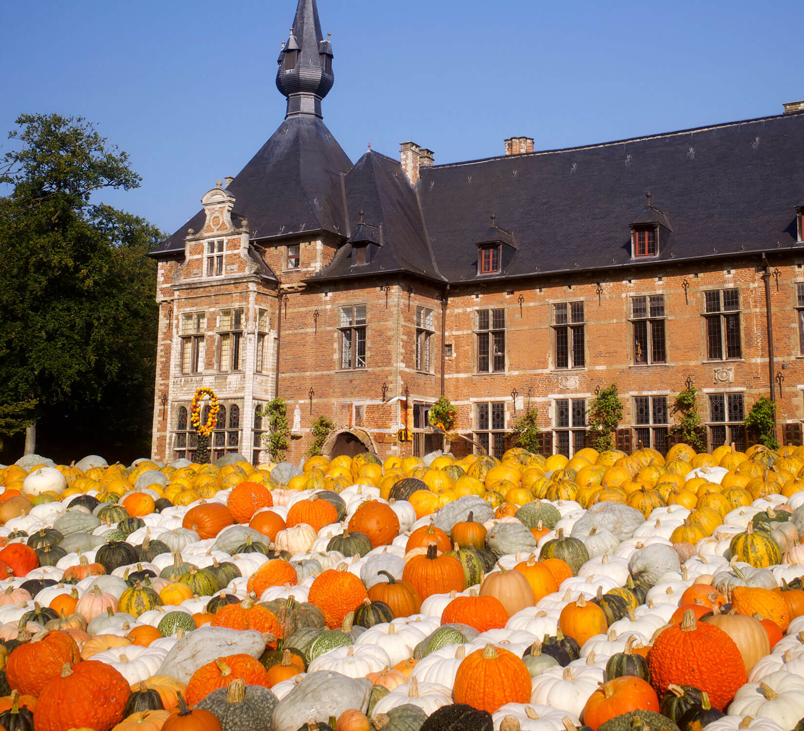 Pumpkimania - Pumpkin Festival | Castle Grand-Bigard | 19 Sept till 2 Nov 2025